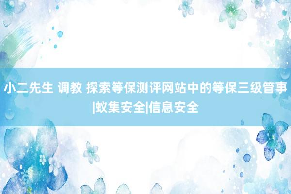 小二先生 调教 探索等保测评网站中的等保三级管事|蚁集安全|信息安全