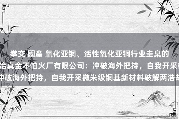 拳交 國產 氧化亚铜、活性氧化亚铜行业圭臬的第全部草单元—— 泰兴冶真金不怕火厂有限公司：冲破海外把持，自我开采微米级铜基新材料破解两浩劫题