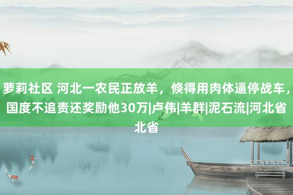 萝莉社区 河北一农民正放羊，倏得用肉体逼停战车，国度不追责还奖励他30万|卢伟|羊群|泥石流|河北省